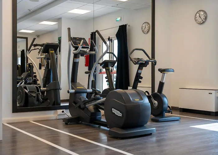 The Aries ויצ'נצה